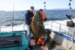 Kodiak Island Adventures - Halibut
